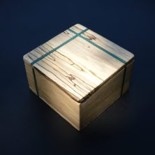 1Noyer échauffé